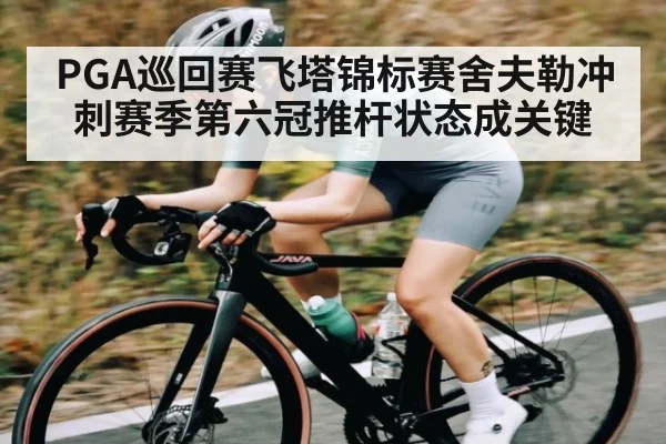 PGA巡回赛飞塔锦标赛舍夫勒冲刺赛季第六冠推杆状态成关键